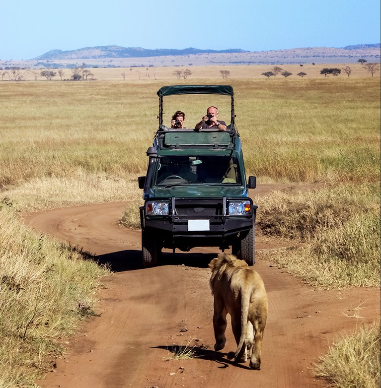 Tanzania Tour Package for Ultimate Safari Experience