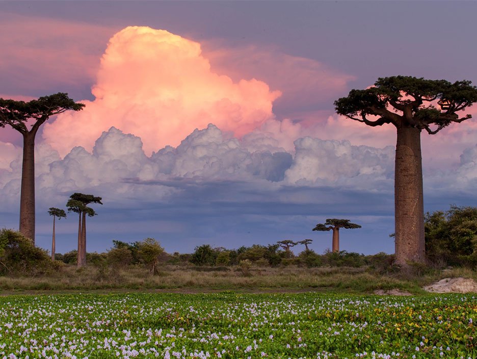 Madagascar Tour Packages: Discover the Soul of the Island