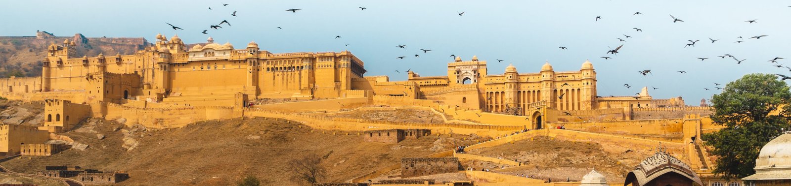 Image for desktop and tablets