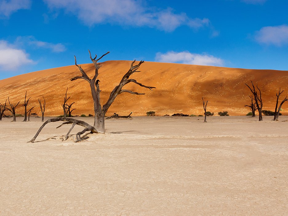 Namibia Tour Package: Adventure in Elegance
