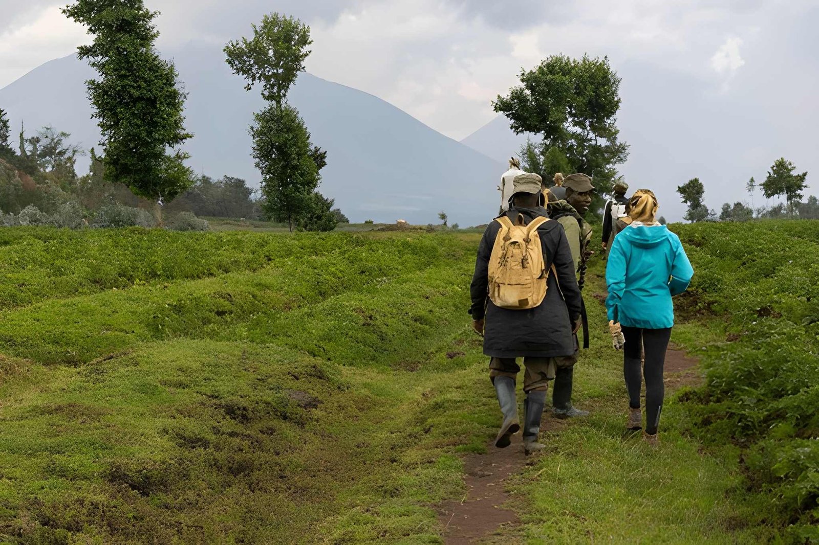 Rwanda Gorilla Trekking