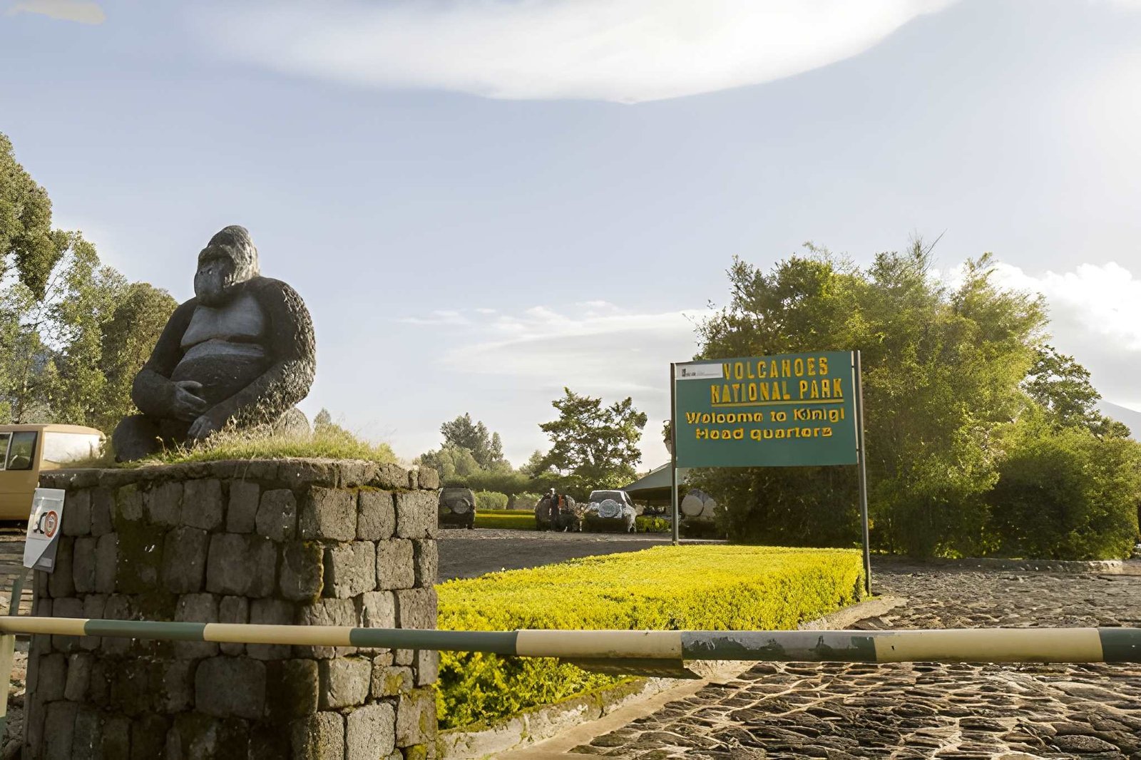 Rwanda Gorilla Trekking