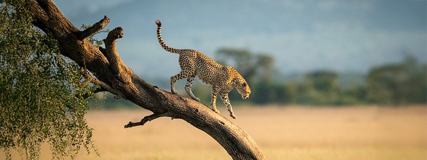 Best Time to Visit Tanzania: Weather, Seasons & Travel Tips