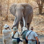 Is South Africa Right for You? Customised Travel Guide