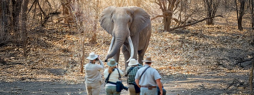 Is South Africa Right for You? Customised Travel Guide