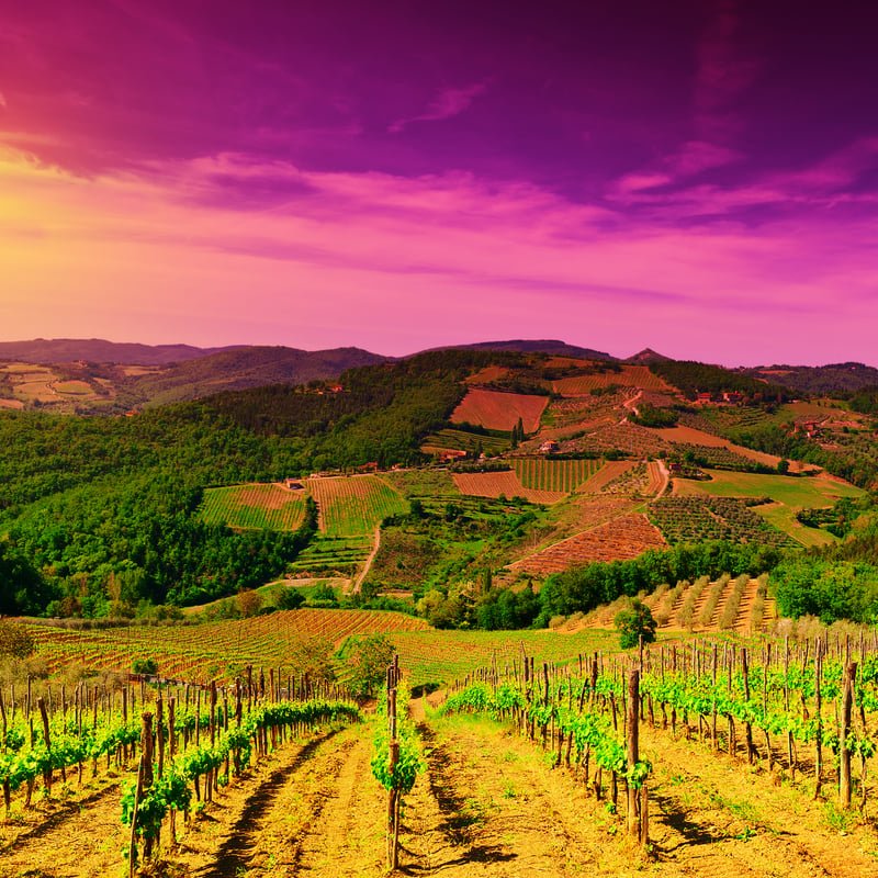 Chianti Wine Estates 