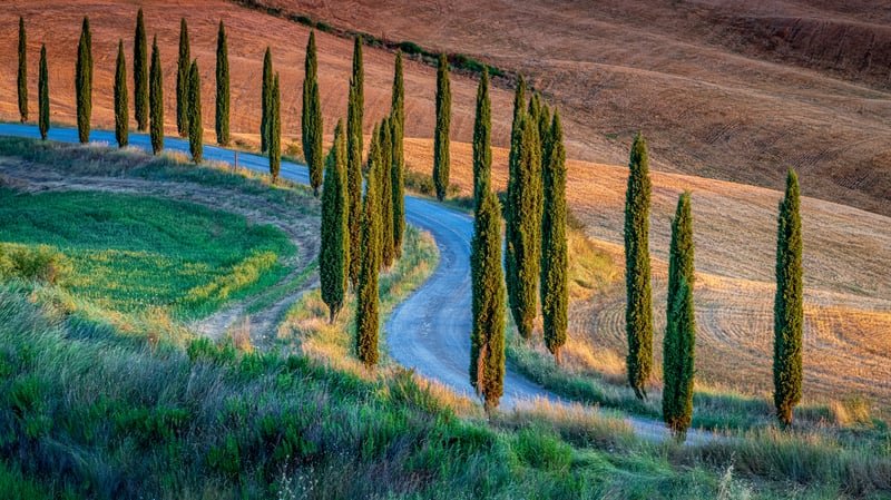A landscape like a painting