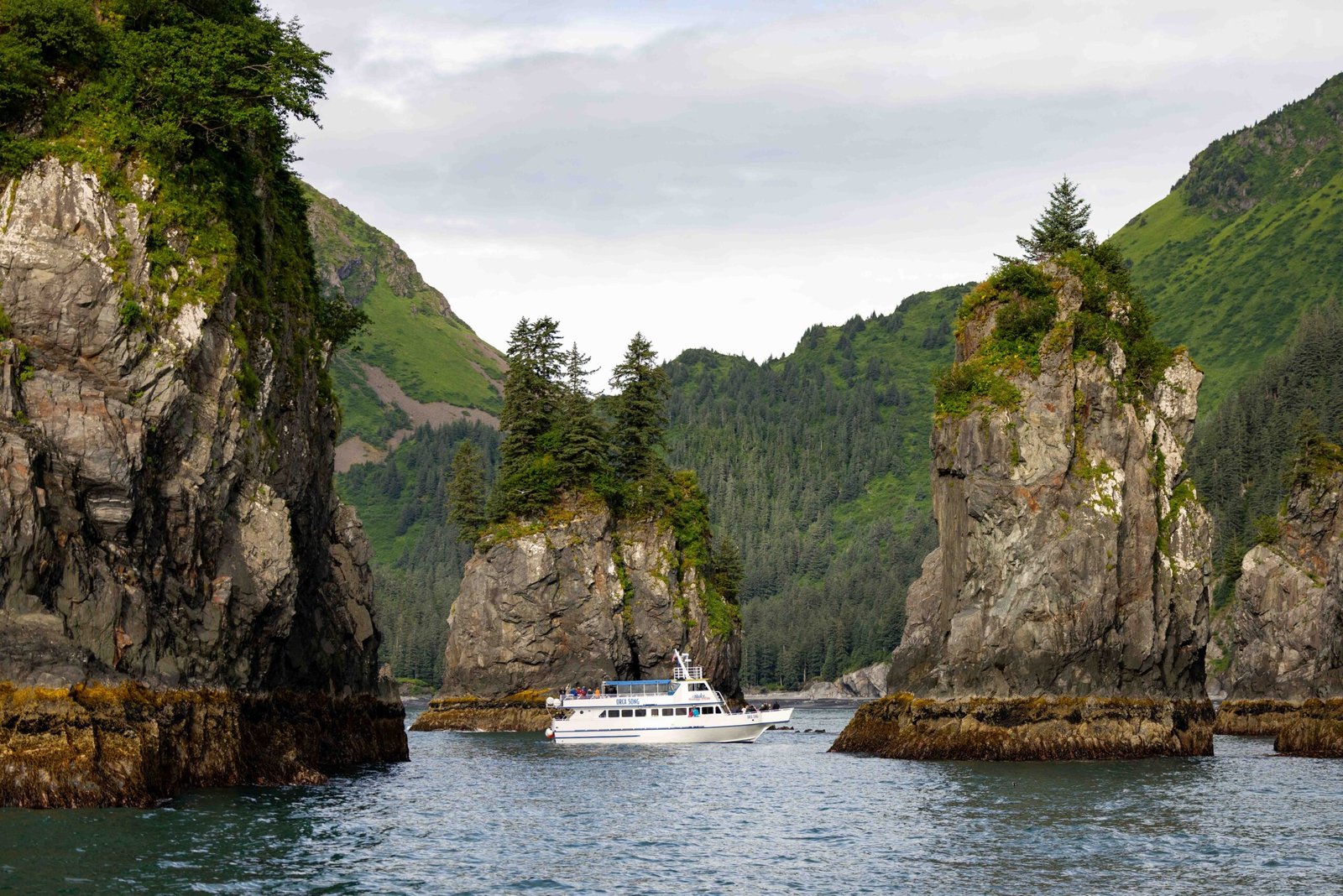 Fjord Boat Tour 