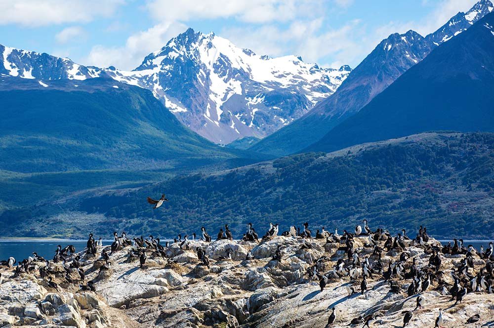 Ushuaia & the Beagle Channel