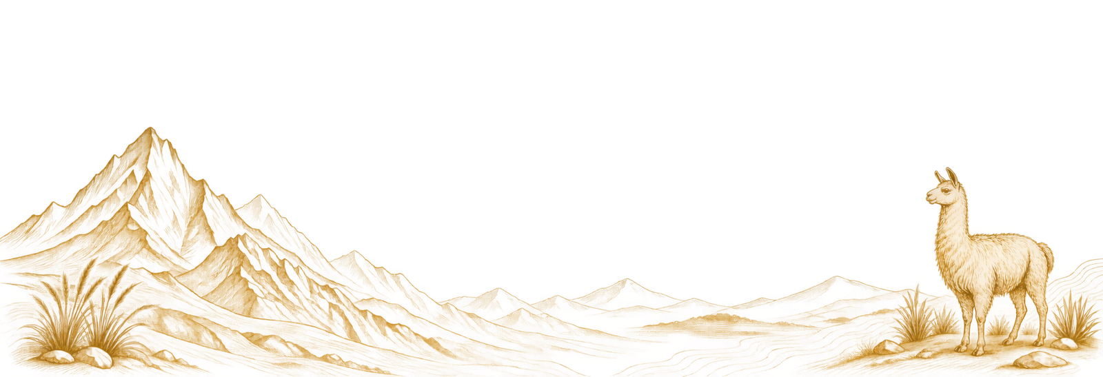 Africa illustration