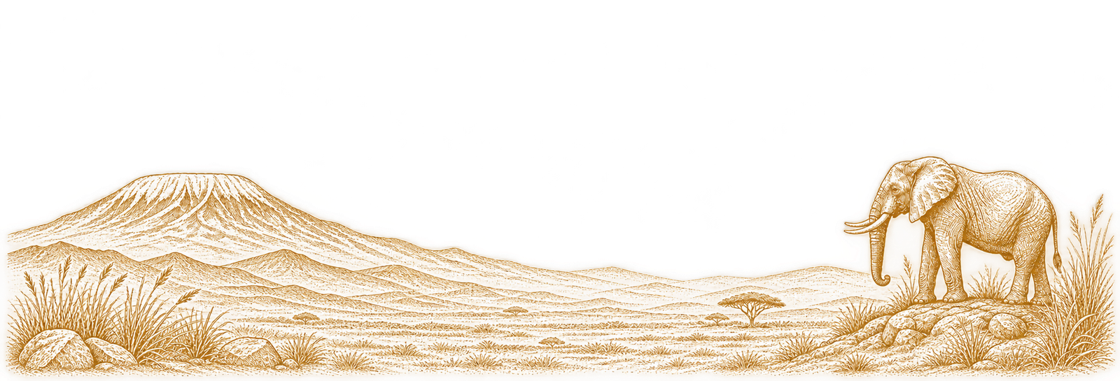Africa illustration